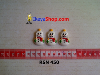 rsn 450  large2